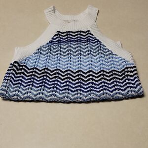 LOFT Blue and White Chevron Tank Top